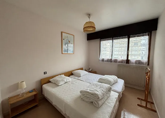 公寓 2 Face A La Avec Balcon Et Wifi - Fr-1-197-428